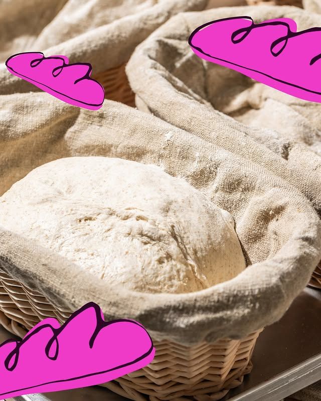 Dough Proofing process - artisan bread dough resting in traditional proofing baskets